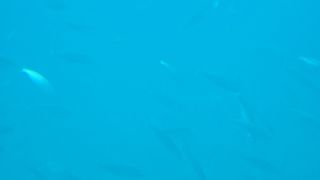 2025-10-GC-Submariane Adventure-28.jpg